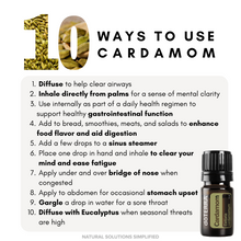 Load image into Gallery viewer, dōTERRA Black Spruce Essential Oil - 5ml