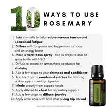 Charger l'image dans la galerie, Huile essentielle de romarin dōTERRA - 15 ml