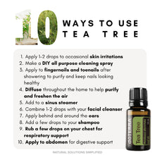 Load image into Gallery viewer, dōTERRA Family Essentials Kit with FREE dōTERRA Membership